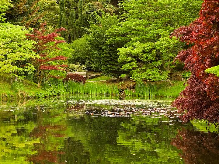 Vista de los Jardines VanDusen de Vancouver, uno de lo parques más bellos del mundo